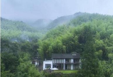聚焦乡村旅游领跑者莫干山民宿的问与答