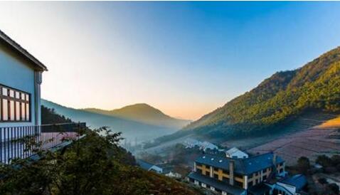 聚焦乡村旅游领跑者莫干山民宿的问与答